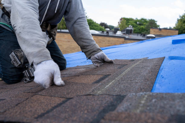 Fast & Reliable Emergency Roof Repairs in Sioux Center, IA